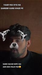 Preview for a Spotlight video that uses the Dalmatian Dog Lens