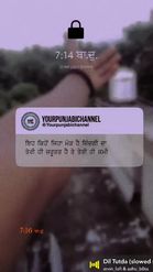 Preview for a Spotlight video that uses the Punjabi Quotes Lens