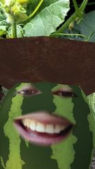 Preview for a Spotlight video that uses the COWBOY WATERMELON Lens