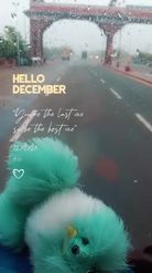 Preview for a Spotlight video that uses the Hello December Lens
