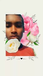 Preview for a Spotlight video that uses the Peonies Collage Lens