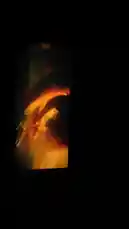 This video captures a dramatic and visually striking sequence centered around fire and ritualistic elements. The scene unfolds in a dark, atmospheric setting illuminated by multiple bright flames, creating a powerful contrast between light and shadow. Figures are seen interacting with the fire, their movements suggesting a ceremonial or spiritual practice. The intense orange and yellow hues dominate the visuals, evoking feelings of passion, energy, and transformation. The overall aesthetic is both mystical and raw, drawing viewers into a world where tradition and emotion converge. This captivating imagery is ideal for those interested in cultural performances, artistic expression through fire, or exploring themes of rebirth and purification. by @guptaji_47 with guptaji_47 by Original Sound
