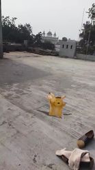 Preview for a Spotlight video that uses the Dancing Pikachu Lens