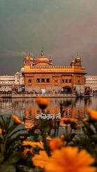 Preview for a Spotlight video that uses the GOLDEN TEMPLE Lens