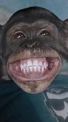 Preview for a Spotlight video that uses the monkey smile Lens