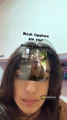 Preview for a Spotlight video that uses the Which Capybara Lens
