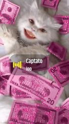 Preview for a Spotlight video that uses the Dollar kitty Lens