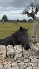 Nataly Ospina (@natalieyospina) | Snapchat Stories, Spotlight & Lenses