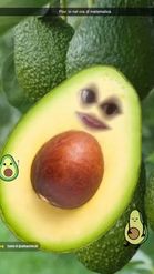 Preview for a Spotlight video that uses the Avocado Face Lens