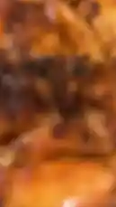 A mouthwatering close-up tour of a perfectly grilled chicken dish served with fluffy rice, golden plantain slices, and colorful sautéed vegetables. This appetizing meal presentation highlights fresh ingredients and savory flavors. by @be_food with be_food by Original Sound