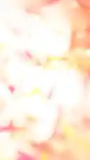 A mouthwatering close-up tour of a perfectly plated meal from Be Food 🍔🥗🥘🍜🍝. This delicious dish features succulent grilled chicken legs served alongside fluffy rice, golden fried plantains, and a vibrant fresh salsa made with tomatoes, onions, and cucumbers. by @be_food with PAY! by Theodora, Guy2bezbar