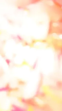 A mouthwatering close-up tour of a perfectly plated meal from Be Food 🍔🥗🥘🍜🍝. This delicious dish features succulent grilled chicken legs served alongside fluffy rice, golden fried plantains, and a vibrant fresh salsa made with tomatoes, onions, and cucumbers. by @be_food with PAY! by Theodora, Guy2bezbar