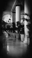 This cinematic black and white video captures the timeless elegance of a luxurious interior space. A long, reflective hallway is defined by grand classical columns and a row of potted palm trees, leading the eye towards an ornate archway where a dazzling chandelier hangs. The dramatic interplay of light and shadow creates a sophisticated atmosphere, showcasing classic design elements perfect for inspiration. by @two with Original Sound by two