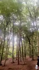hamza_sheikh8 님이 만든 Original Sound 포함 @hamza_sheikh8 님이 만든 동영상