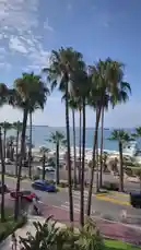 Experience the elegance of Monaco's coastal charm as palm trees sway gently against a backdrop of turquoise waters and a clear blue sky. This scenic view captures the essence of luxury living, showcasing sleek sports cars like Ferraris cruising along the promenade, while pedestrians enjoy the vibrant seaside atmosphere. It's a perfect blend of natural beauty and high-end lifestyle. by @two with علمتُ أن رزقي لا يأخذه غيري🌾 by .