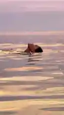 Maeurn Smiles (@maeurn_smiles) | Snapchat Stories, Spotlight & Lenses