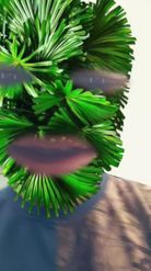 Preview for a Spotlight video that uses the Leaves Face Lens