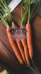 Preview for a Spotlight video that uses the CARROTS Lens