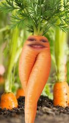 Preview for a Spotlight video that uses the Carrot Lens