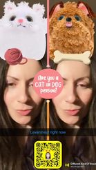 Preview for a Spotlight video that uses the Cat or Dog Person Lens