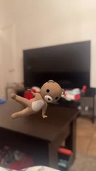 Preview for a Spotlight video that uses the Breakdance Bear Lens