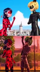 Miraculous Ladybug & Cat Noir vs. Mysterious Cats! | Animated Action ...