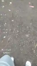 Experience the raw power of nature firsthand as Mohammad Ansari captures his journey through a dense, foggy storm in Igatpuri. This immersive, point-of-view footage shows the challenges of navigating wet, slick roads, driving past palm trees battered by the wind, and witnessing the dramatic, low-visibility conditions. It's a real-time look at travel during extreme weather. by @amohammad_97 with original sound