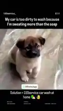 #funnyreels #snaptrendingviralvideo #sanpchat by @in.100service with in.100service by Original Sound