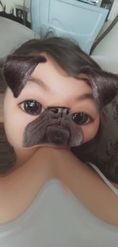 Preview for a Spotlight video that uses the Funny Pug Lens