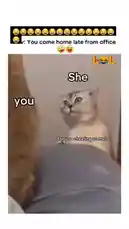 This viral meme features two cats in a dramatic confrontation. One cat, labeled 'you,' sits on a bed looking away. The other cat, labeled 'She,' stares intensely with wide eyes, asking, 'Are you cheating on me?' The scene humorously captures the feeling of being accused after coming home late. The audio adds to the suspenseful and comedic tone. by @levis_ian with Original Sound by levis_ian
