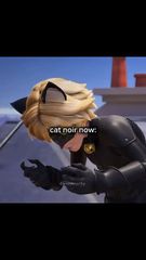 Miraculous Ladybug & Cat Noir vs. Mysterious Cats! | Animated Action ...