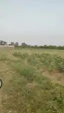 Video by @guptaji_47 with guptaji_47 by Original Sound