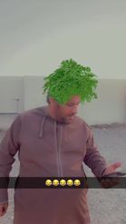 Preview for a Spotlight video that uses the Parsley Head Lens