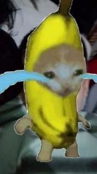 Preview for a Spotlight video that uses the Crying banana cat Lens