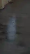 Video by @guptaji_47 with guptaji_47 by Original Sound