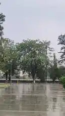 PAU by @guptaji_47 with guptaji_47 by Original Sound