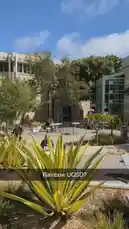 Video by @sheeptester with original sound