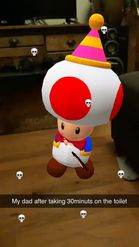 Preview for a Spotlight video that uses the Toad Dancing Lens