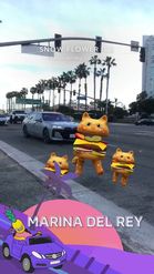 Preview for a Spotlight video that uses the Meow Burger Lens