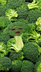 Preview for a Spotlight video that uses the single broccoli Lens