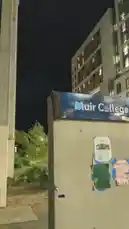 Video by @sheeptester with original sound