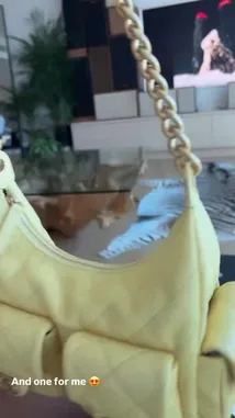 RubiRose (@rubirose) | Snapchat Stories, Spotlight & Lenses