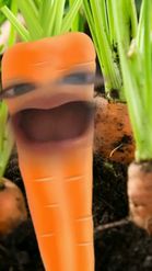 Preview for a Spotlight video that uses the carrot Lens