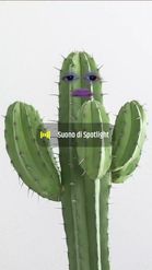 Preview for a Spotlight video that uses the Talking Cactus Lens