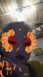 Preview for a Spotlight video that uses the gerbera Lens