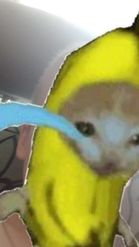 Preview for a Spotlight video that uses the Crying banana cat Lens