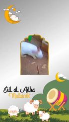 Preview for a Spotlight video that uses the Eid al-Adha Lens