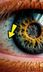 Shocking Eyeball Discovery 🤯