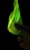 Making a Green Fireball