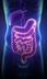 A new organism has been found in the human gut